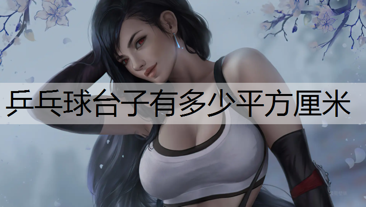 乒乓球台子有多少平方厘米