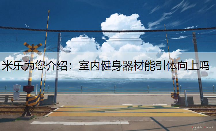 <strong>米乐为您介绍：室内健身器材能引体向上吗</strong>