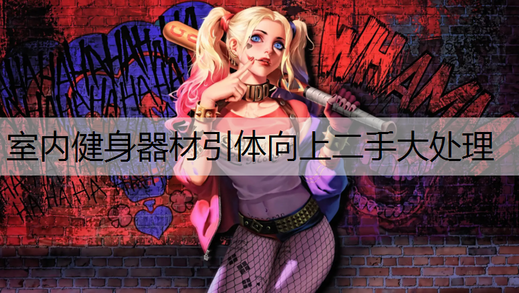 <strong>室内健身器材引体向上二手大处理</strong>