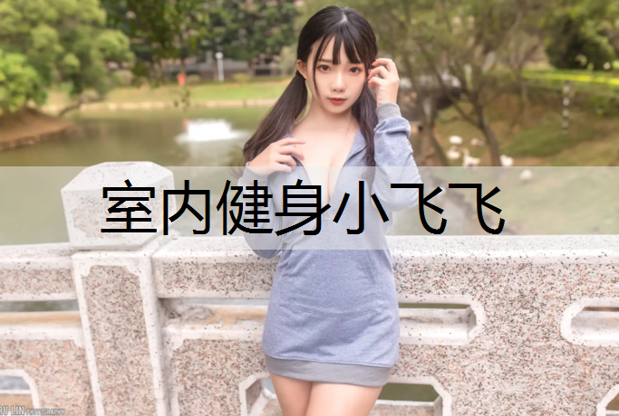 室内健身小飞飞