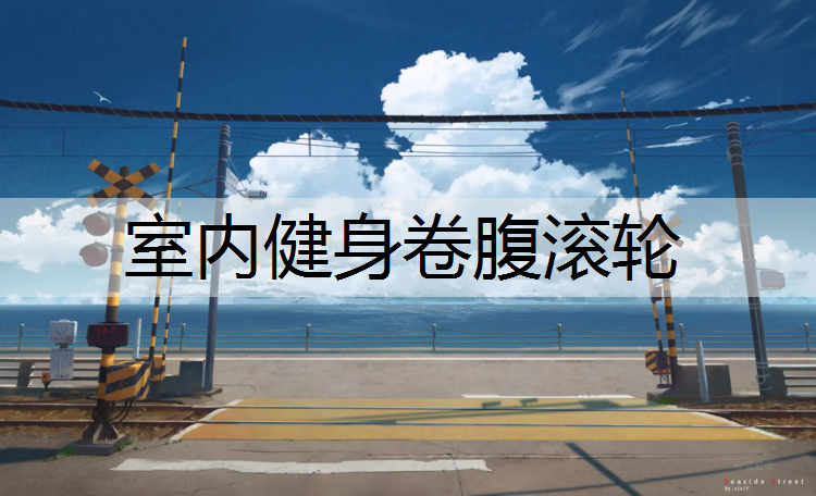 室内健身卷腹滚轮