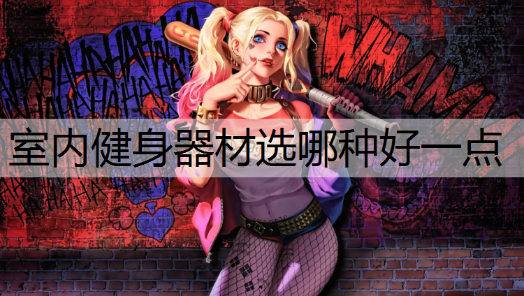 室内健身器材选哪种好一点