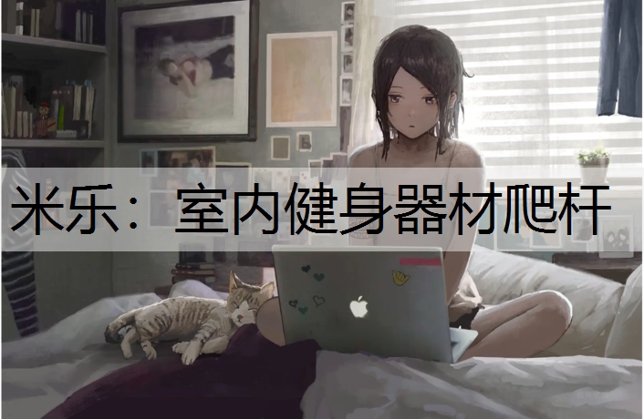 <strong>米乐：室内健身器材爬杆</strong>