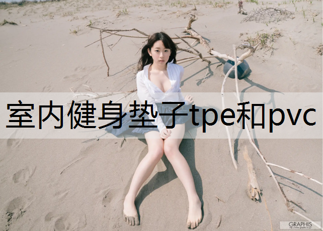 <strong>室内健身垫子tpe和pvc</strong>