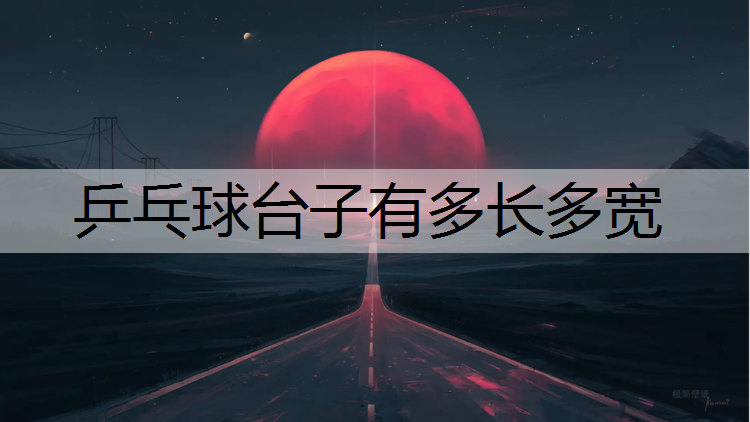 <strong>乒乓球台子有多长多宽</strong>
