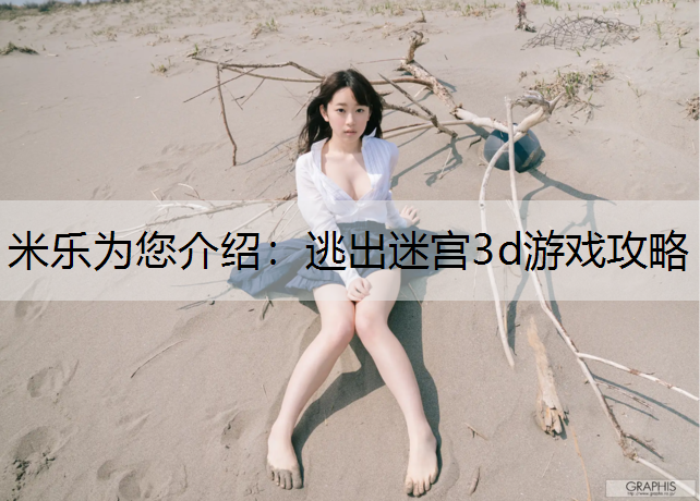 <strong>米乐为您介绍：逃出迷宫3d游戏攻略</strong>