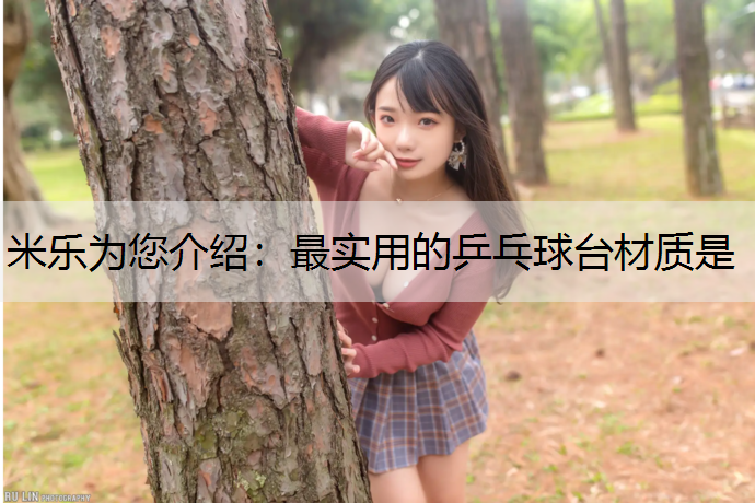米乐为您介绍：最实用的乒乓球台材质是