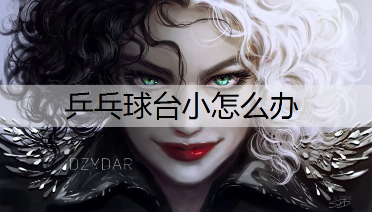 乒乓球台小怎么办
