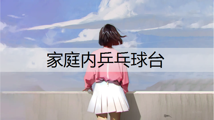 家庭内乒乓球台