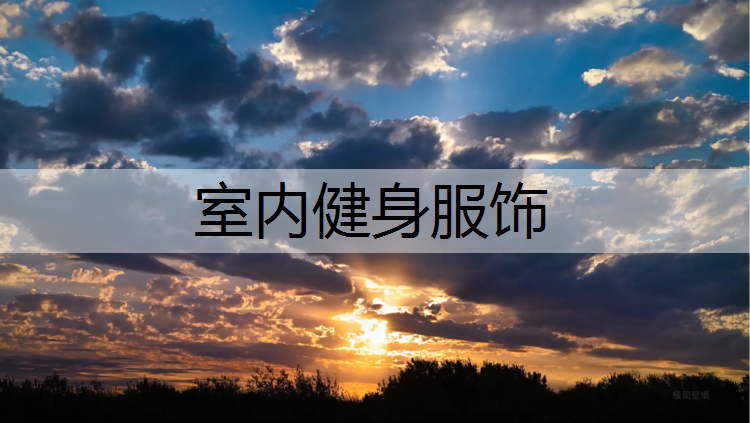 <strong>室内健身服饰</strong>