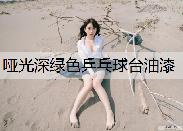 哑光深绿色乒乓球台油漆