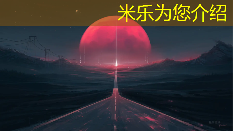 <strong>米乐为您介绍：自带胸垫体操服体操服</strong>