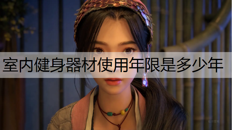 室内健身器材使用年限是多少年