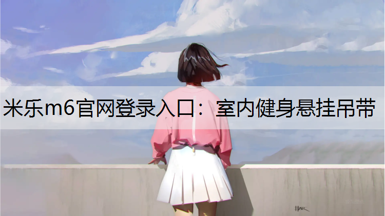 室内健身悬挂吊带