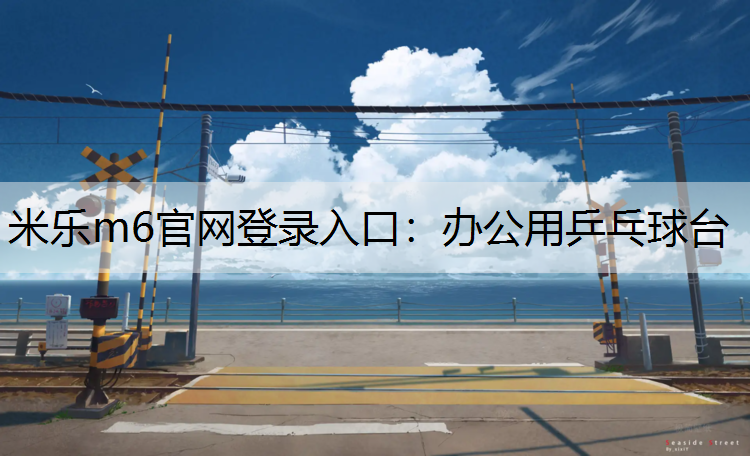 办公用乒乓球台
