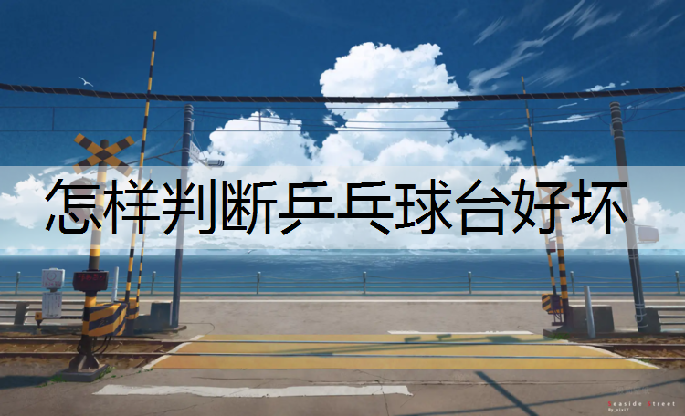 怎样判断乒乓球台好坏