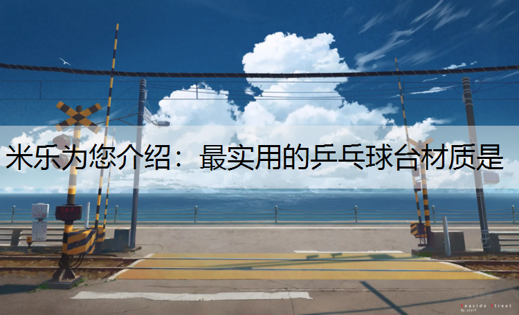 最实用的乒乓球台材质是