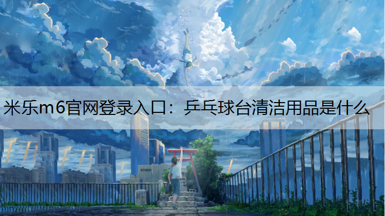 乒乓球台清洁用品是什么